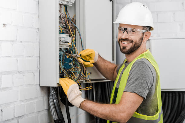 Best Electric Panel Repair  in Lakeview, CA